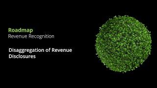 Revenue Recognition: Disaggregation of Revenue Disclosures