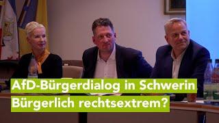 AfD-Bürgerdialog in Schweriner Rathaus - Rechtsextreme mit bürgerlichem Deckmantel?