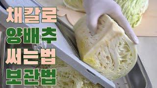 양배추 채 썰어서 이렇게 보관하면 2주가 지나도 싱싱해요