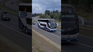 Eme bus #08 | comil campione invictus DD | scania K440 #emebus #buses #comilonibus