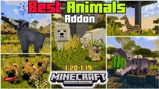 BEST ANIMALS ADDON | For #minecraft PE 1.20 - 1.19 #addons