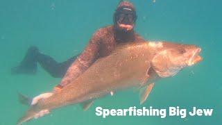 Spearfishing Big Jew