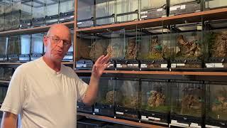 Maintanance of the collection, an overview.
