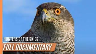 Hunters Of The Skies | Full Episode