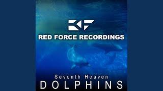 Dolphins (Original Mix)