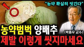 "베이킹소다, 식초 아닙니다" 양배추 '이렇게' 씻어야 농약이 싹! 사라집니다. 한국 사람 대부분이 잘못 알고 있는 과일 세척법 (박종우 교수 통합본)
