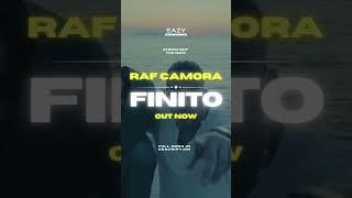 Neue Musik von RAF Camora  #rafcamora #remix #finito #music #musik #edm #edmmusic #deephouse