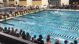 800 free relay