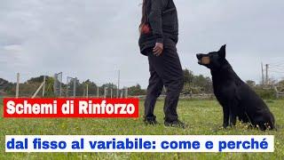 Schemi di Rinforzo. Dal fisso al variabile: come e perchè