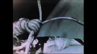 Aleksei Leonov's First Spacewalk