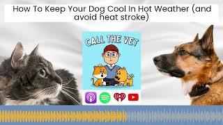 How To Keep Your Dog Cool In Hot Weather (and avoid heat stroke)