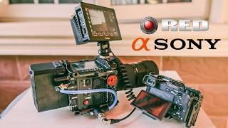 RED Komodo X: Testing a $7000 Sensor vs a Budget Camera