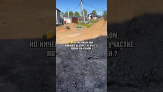 Вот так всегда  все о ландшафте у нас на канале  #ландшафтныйдизайн #xan #благоустройствоучастка