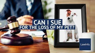 Can I Sue for the Loss of My Pet? | LawInfo