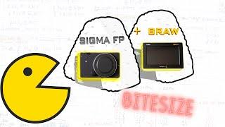 BITESIZE "How to correctly expose Sigma FP RAWs EP.2 BRAW"