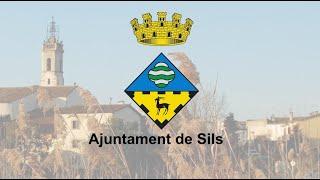 Ple ordinari Ajuntament de Sils 25/01/2024