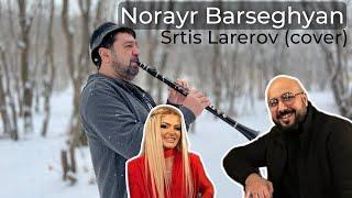 Norayr Barseghyan - Srtis Larerov (cover) / Նորայր Բարսեղյան - Սրտիս Լարերով (cover)