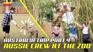 I Got to See IRWIN FAMILY's Zoo in Brisbane (Australia Trip Part 4) | Papa Boyet