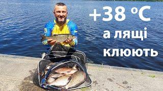 Навіть в +38 лящ і сом хочуть їсти. Ловля ляща в спеку. Фідер в Києві. Липнева риболовля.