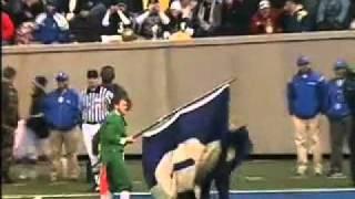 CHEERLEADER GETS WHACKED BY FLAG