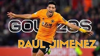 Grandes Goles de Raul Jimenez | MEJORES GOLES | DGOL