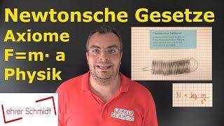 Newtonsche Gesetze (3 Axiome ) | F = m*a | Physik - einfach erklärt | Lehrerschmidt