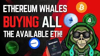 Ethereum Whales are buying all the ETH Ecosystem Tokens! 