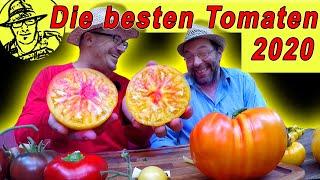 Diese Tomaten brauchst du im Garten - alte Sorten gegen F1-Hybrid-Tomate - beste Tomaten 2020