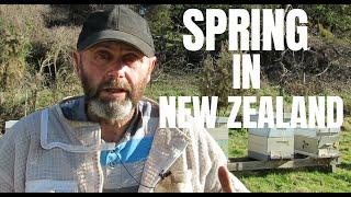 Ep 12: Spring in New Zealand