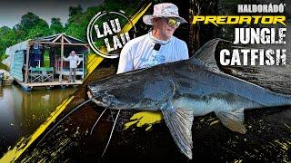 Gábor Döme – ON LEGENDARY CATFISH WATERS part 7. – Wild warriors of the jungle