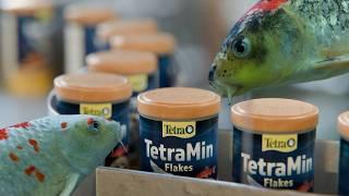 Einblicke in Fischfutter-Produktion: So erobert Tetra die Welt