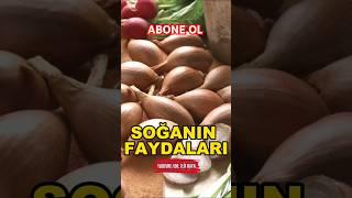 soğanın faydaları nelerdir, soğanın faydaları, Sağlık bilgileri, sağlıklı yaşam, sağlıklı beslenme