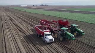 SPUDNIK Equipment 2018 - Sugar Beet Harvester / Crop Cart / Storage