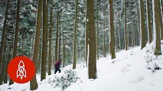 Ascending South Korea’s Most Respected Mountain