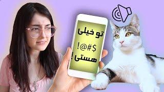 برنامه ای که با گربه ها حرف میزنه ؟ !! || CAT TRANSLATOR !