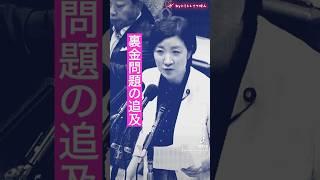 【裏金問題の追及】大石あきこ/れいわ新選組/国会中継-その後SNSで「大石あきこは裏金議員」というデマが拡散される