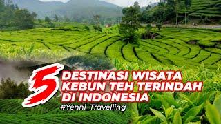 5 Destinasi Wisata Kebun Teh di Indonesia dengan Pemandangan Terindah