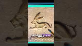 Rabbit Symbolism