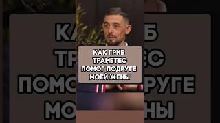 Как гриб траметес помог подруге моей жены #грибы #масгутов #здоровье
