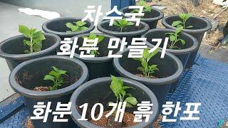 차수국 상토 한포 몇개 화분재배 쉽고 빠르게 수익창출 이렇게~ 경기도 안성교육 문의 010 4502 9900