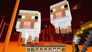 I found the CURSED NETHER WORLD with GHAST SHEEP and a HUNGRY FROG in MINECRAFT!