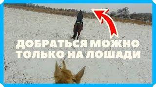 КУПИЛИ ДОМ В ДЕРЕВНЕ. ДОБРАТЬСЯ МОЖНО ТОЛЬКО НА ЛОШАДИ
