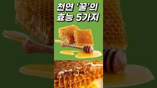 천연 ‘꿀’의 놀라운 효능 5가지