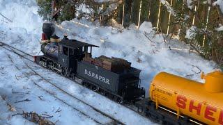 Garden Trains in the Snow