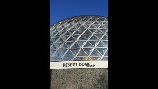 Lying Down In The Desert Dome| Omaha's Henry Doorly Zoo And Aquarium