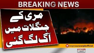 Fire Breaks out in 3 Forests Adjacent to Malka-e-kohsar Murree | Breaking News | Breaking News