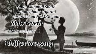 SHANGI LAL PUNDI SHAREE LAGAUGHAN/NEW SLOW REVERB /BRIJIYA SONG