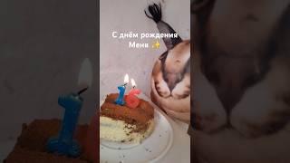 у меня день рождения #блоптоп #funny #милота #юмор #memes #топ #duck #animals #прикол #мем #др