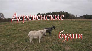 Такой непостоянный апрель. Работа кипит.