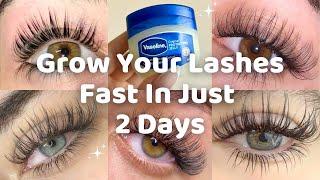 How To Grow Long Lashes at HOME | grow long lashes naturally | get long eyelashes naturally